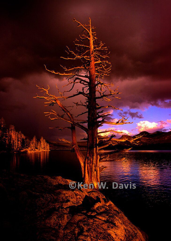 caples lake - 1