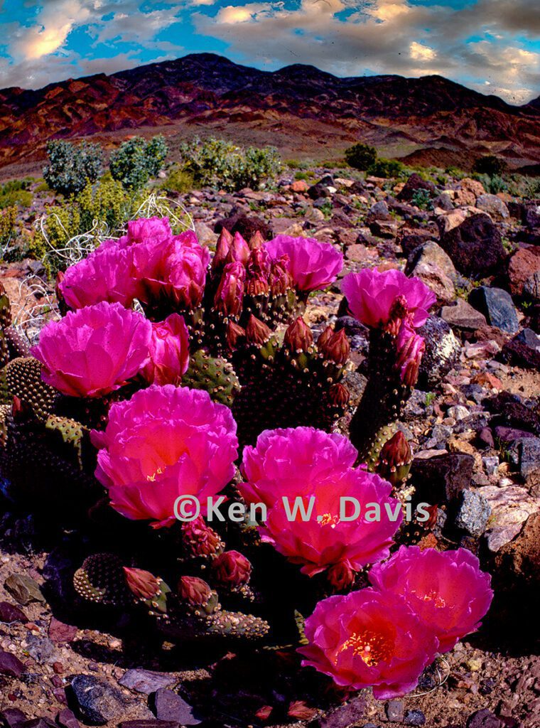 death valley - 2