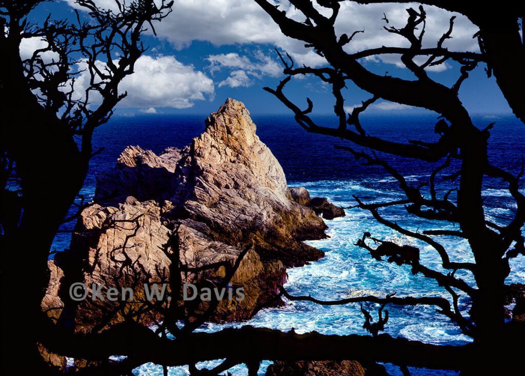 point lobos - 1