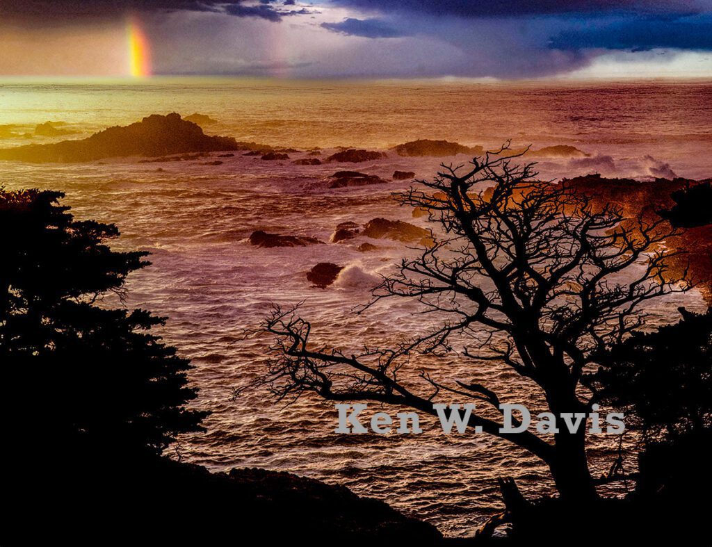 point lobos - 2