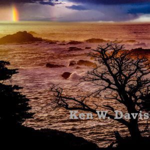 Point Lobos Rainbow