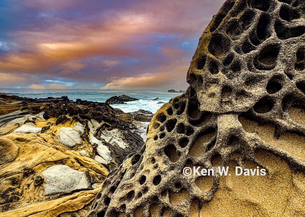 sonoma coast - 1