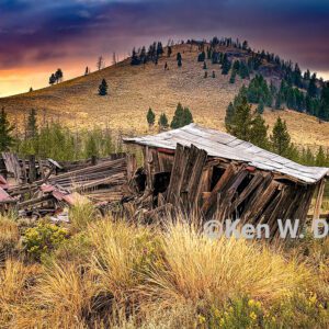 Salmon River Cabin